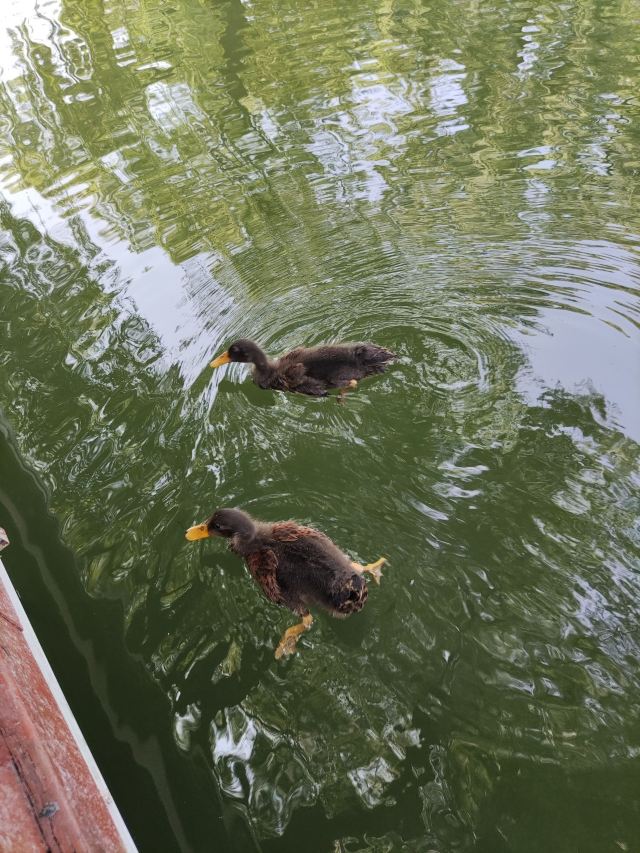 西海旅行图片 14