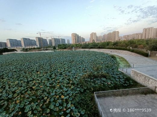 东亭湖公园