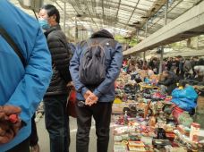 杨浦花鸟古玩市场-上海-M51****7335