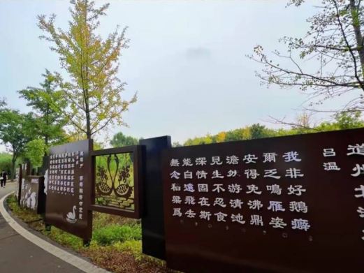 栾卸银杏景区
