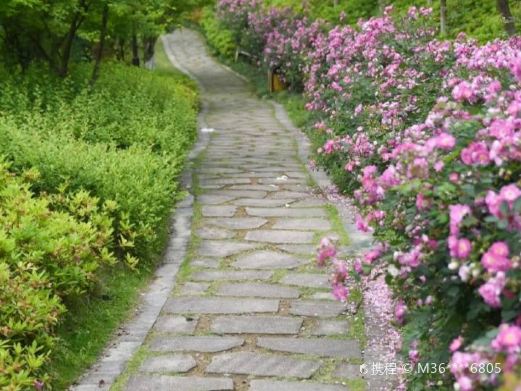温岭市植物园