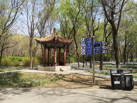 铁西森林公园