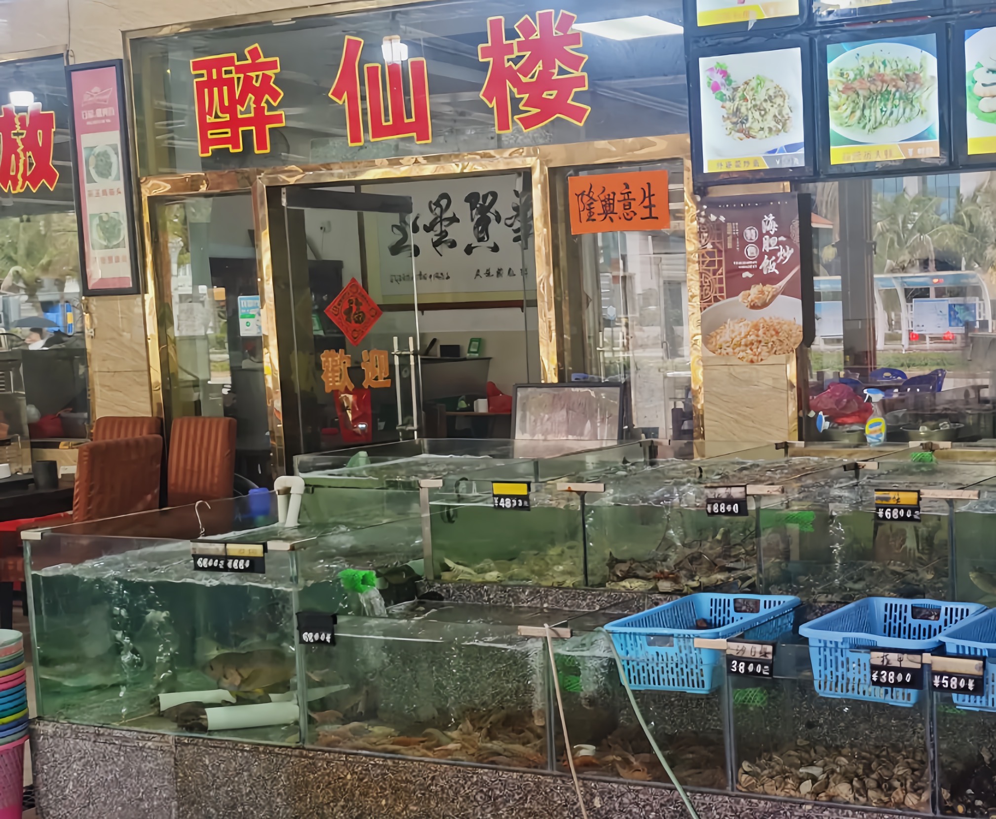 醉仙楼海鲜餐厅(下川王府洲旅游区店)餐厅图片