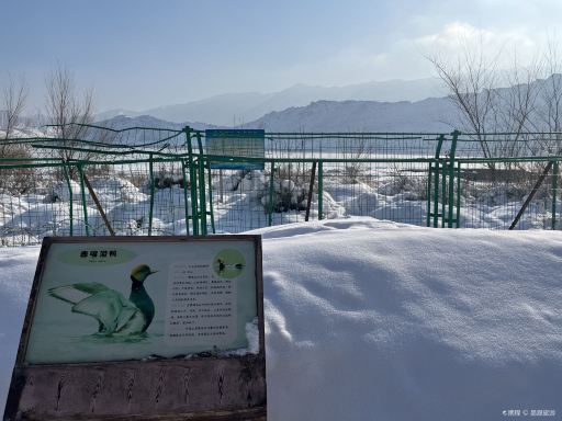 Gallery 1