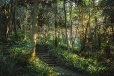 贵阳森林公园-贵阳