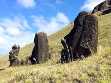 复活节岛-复活节岛-想飞的鱼0627