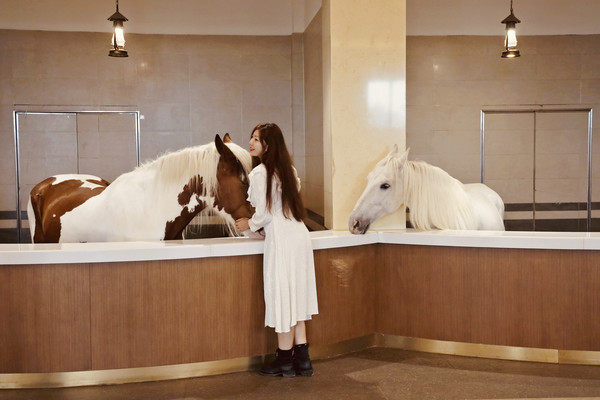 两天一夜坝上草原中国马镇行,在最美的季节遇见它