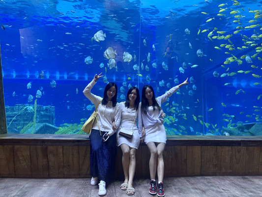 “后海有锦鲤,你消费我买单”