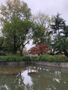 复兴公园-上海-系统错误提示