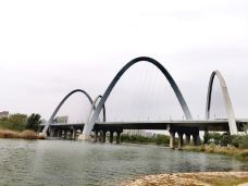 汾河公园-太原-梦露夫人