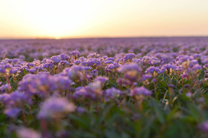 都昌游记图文-10月相遇在都昌