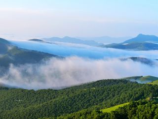 徒步云杉幽谷,看草原云海日出,过一个不开空调的夏天!