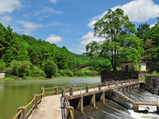野梅岭森林公园