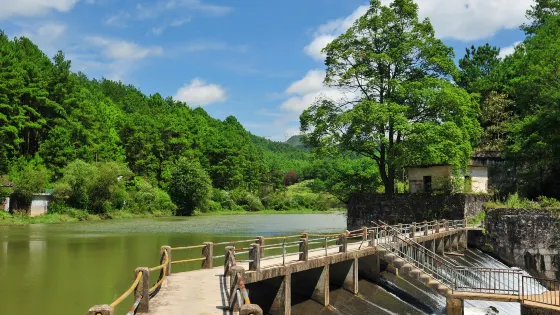 野梅嶺森林公園