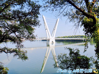 有趣的鸟岛公园一日游