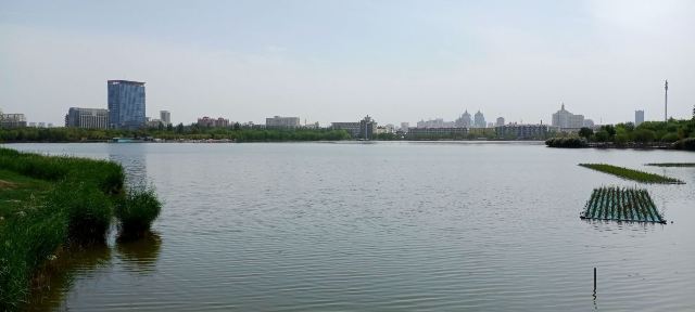 海宝公园旅行图片 5
