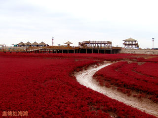 吾乐行的世界——行走于辽宁的花花世界