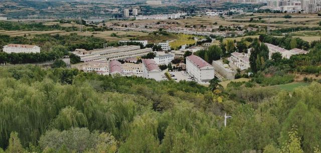 大寨森林公园旅行图片 1