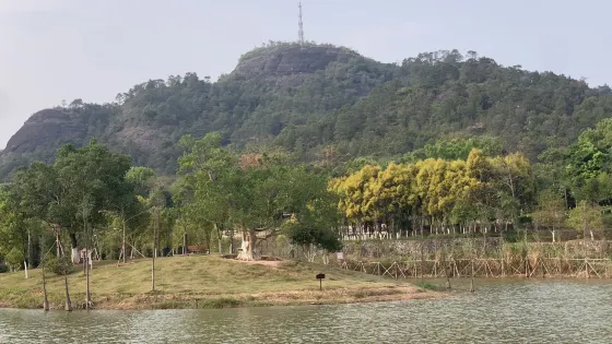 玉林濕地公園