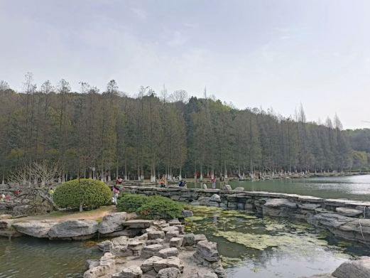 麓谷公园