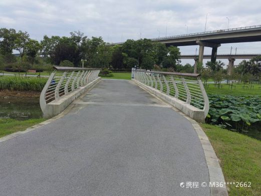 朱家桥尾水生态公园