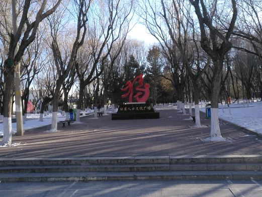 社区人口文化广场