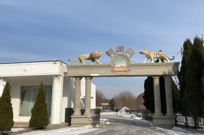 大连狮虎园