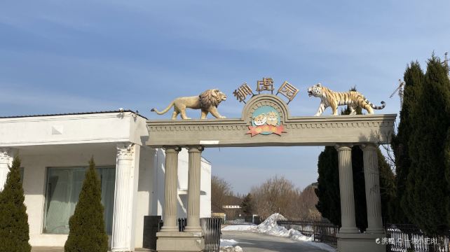 大连狮虎园