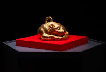 南京博物院半日讲解【讲解2小时 | 多种套餐可选择】25人团【[专业讲解]拒绝走马观花】