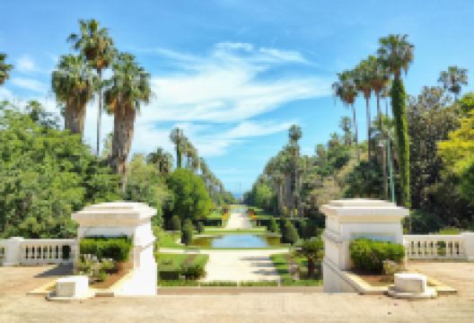 哈马植物园景点图片