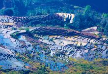 老虎嘴梯田景点图片