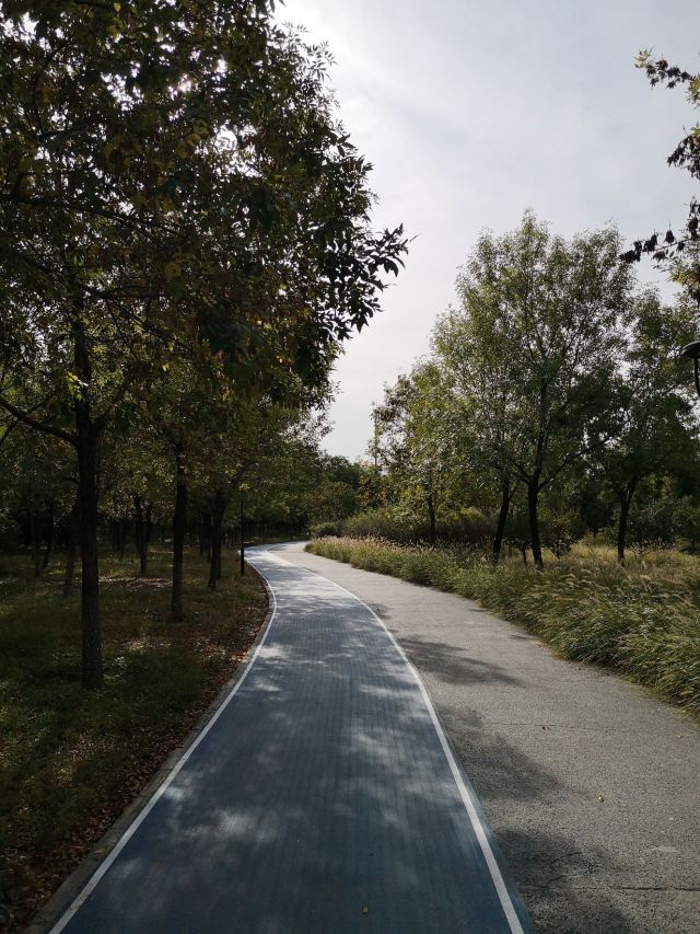 中关村公园旅行图片 3