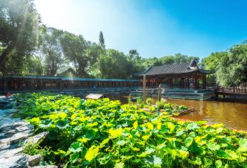 天坛+北海公园+恭王府+什刹海一日游|含天坛联票/可选上门接【[亮点1]纯玩无购物，体验度和性价比超高，适合各种人群】