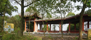 岁末千梯登云顶