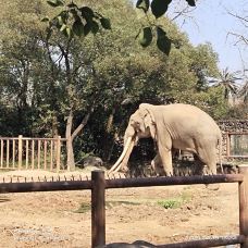 南昌动物园-南昌-YoYo_8F3K4I8N