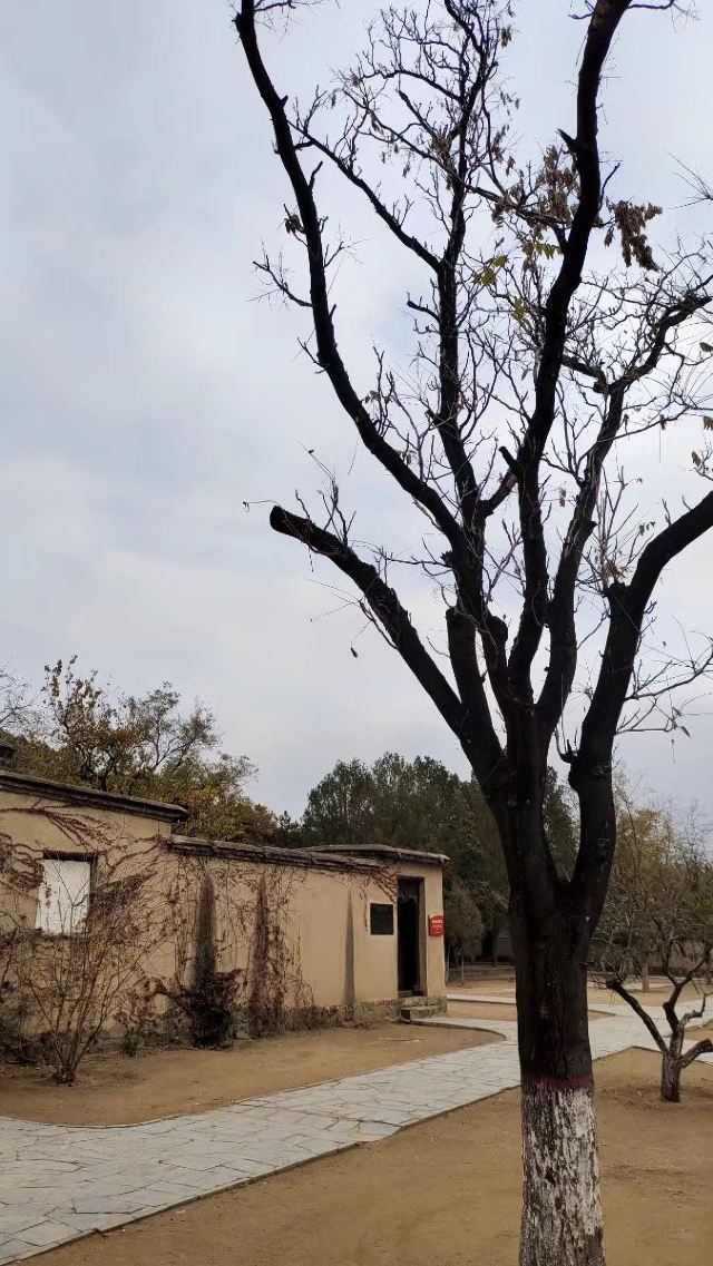 李白·时光里文化旅游度假区旅行图片 1