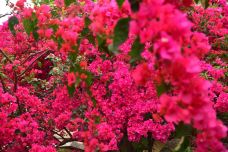 天鹿湖森林公园-广州-程途镜遇