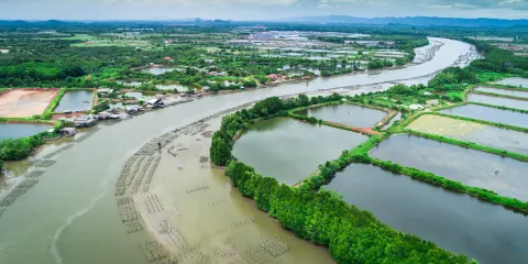 西湖城市濕地公園