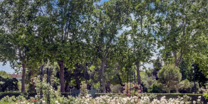 禹州森林植物園