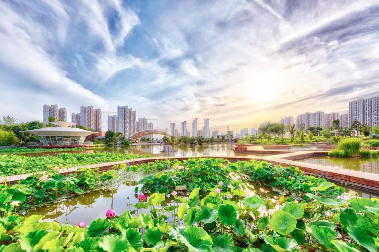 西安植物园新区