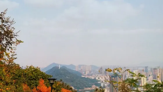 西山公園