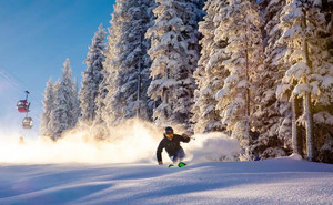 阿斯彭游记图文-美国即将放宽入境限制，阿斯本顶级滑雪之旅可以安排起来了！