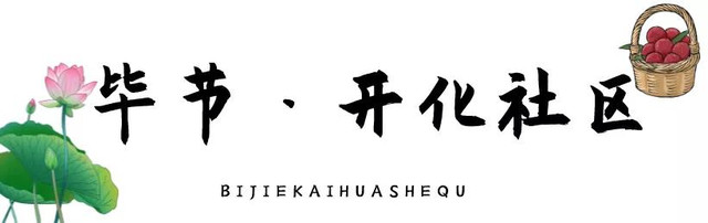 乡游黔中│毕节这个仙气乡村,霸屏荷花将惊艳整个夏天