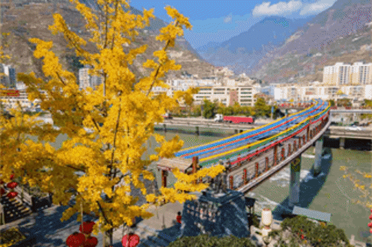 绝美！银杏尽染无忧城，只看一眼就“沦陷”~