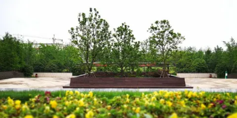 萬年縣體育公園