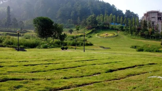 永隆山森林公園
