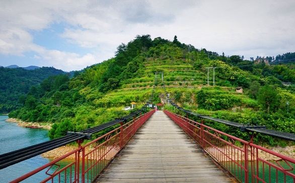 黄草镇金牛岛旅行图片 1