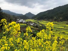 婺源风景区-婺源-C-IMAGE