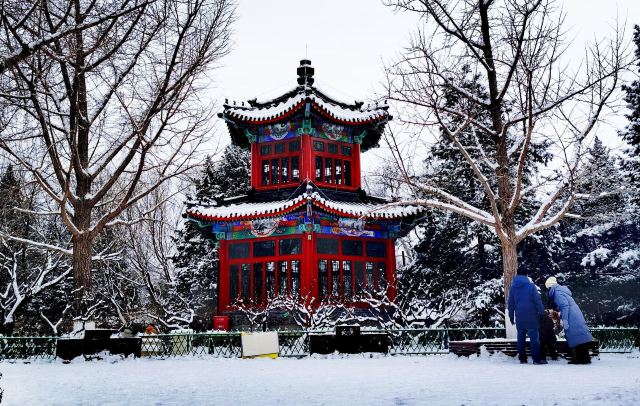 宣武艺园旅行图片 4