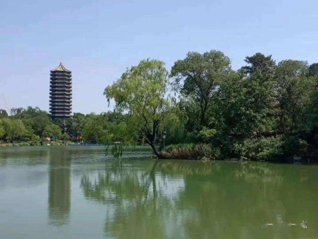 未名湖旅行图片 2